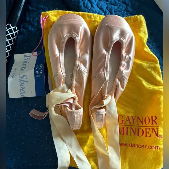 Used Gaynor Minden and Ariel Pink Pointe Shoes - Picture 1 of 11